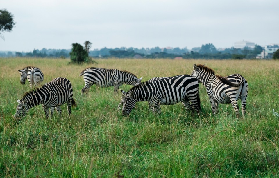 james-butterly-O5V56hQoLAs-unsplash